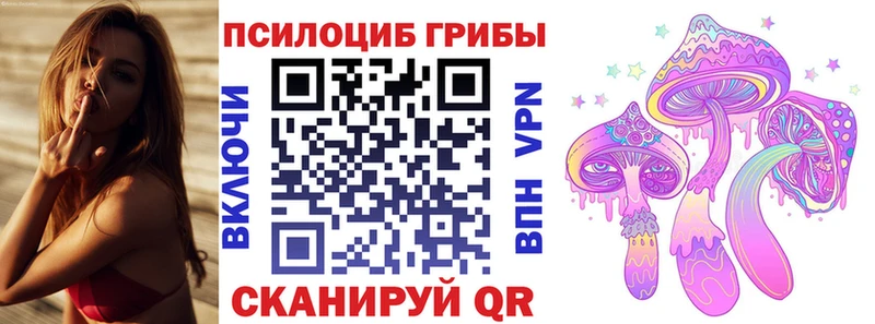 Псилоцибиновые грибы Psilocybe  Ростов 